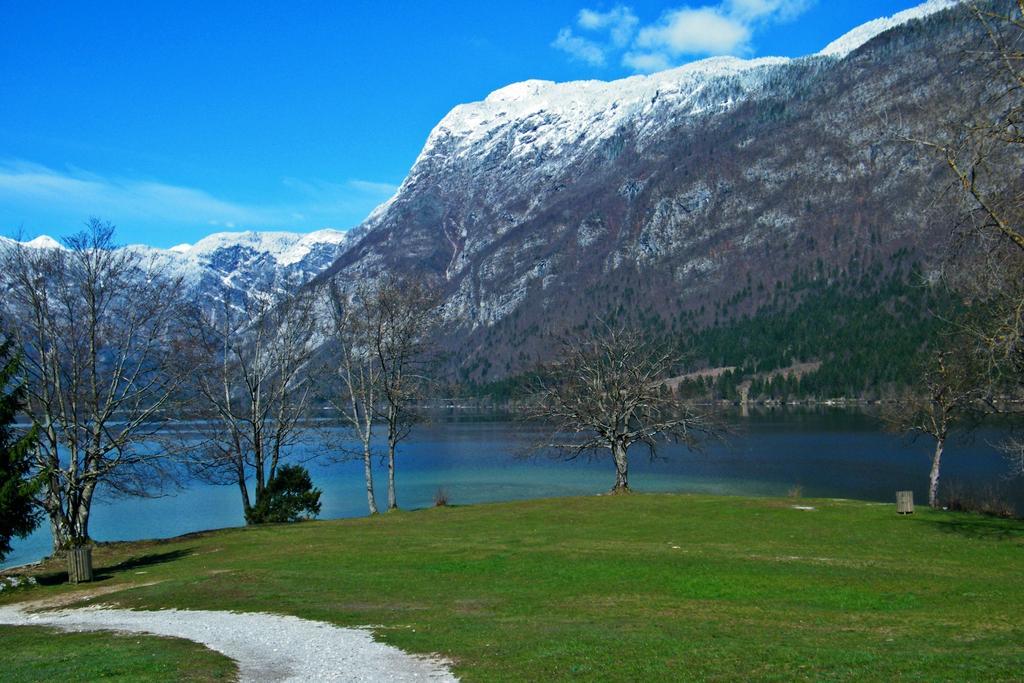Guest House Alenka Bohinj Eksteriør bilde